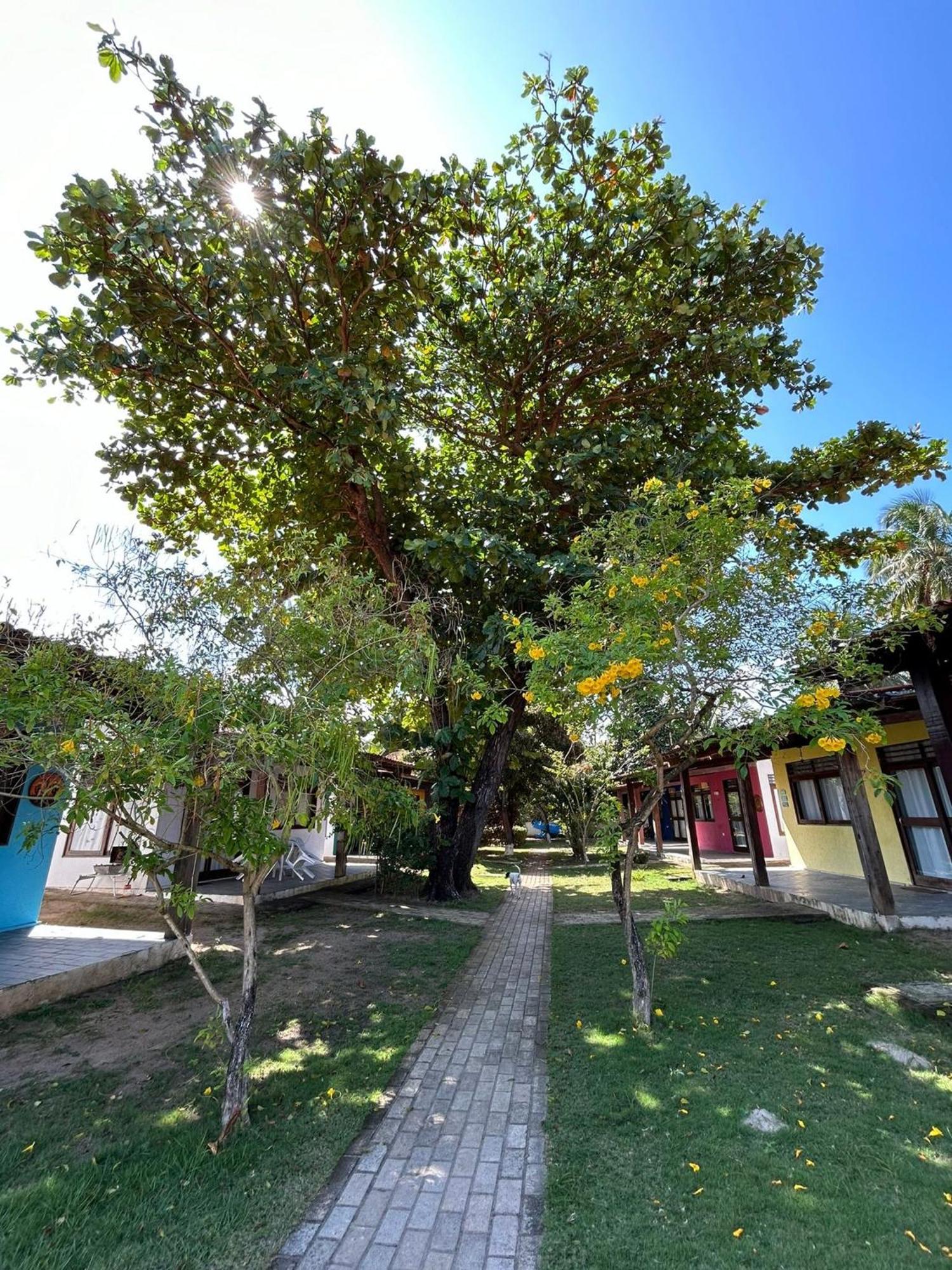 Chalés Praias Brasileiras Maragogi Kültér fotó